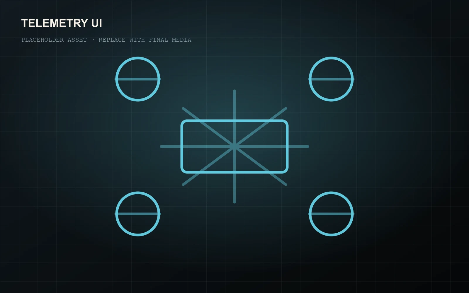 Placeholder telemetry interface screenshot